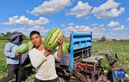 娱乐吃瓜君山河令